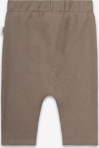 Sanetta Pure Regular Pants in Brown