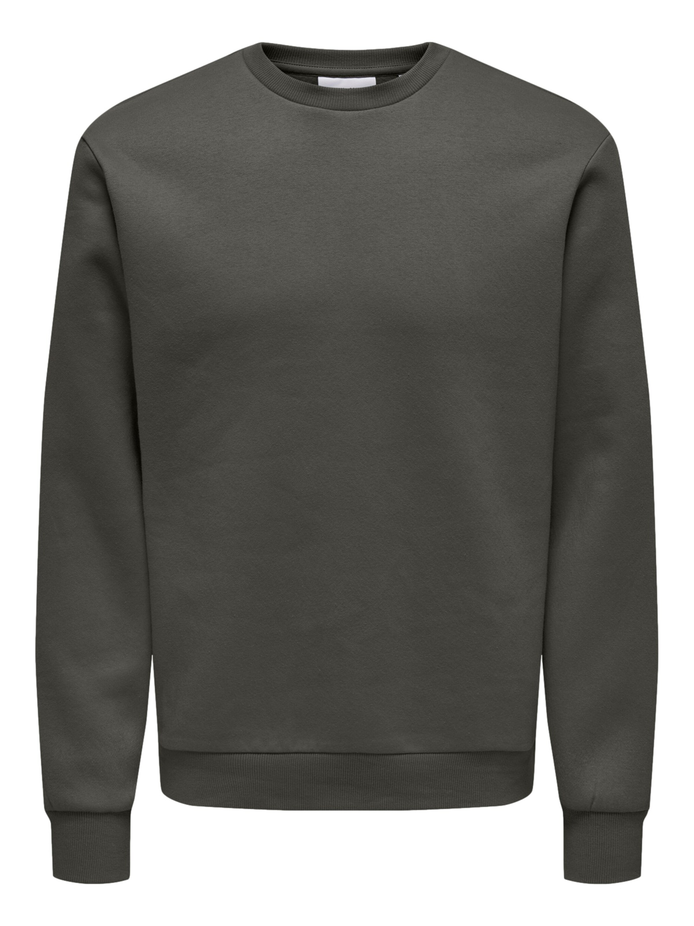 Only & Sons Regular Fit Sweatshirt 'ONSCERES' in Grün: Vorderseite