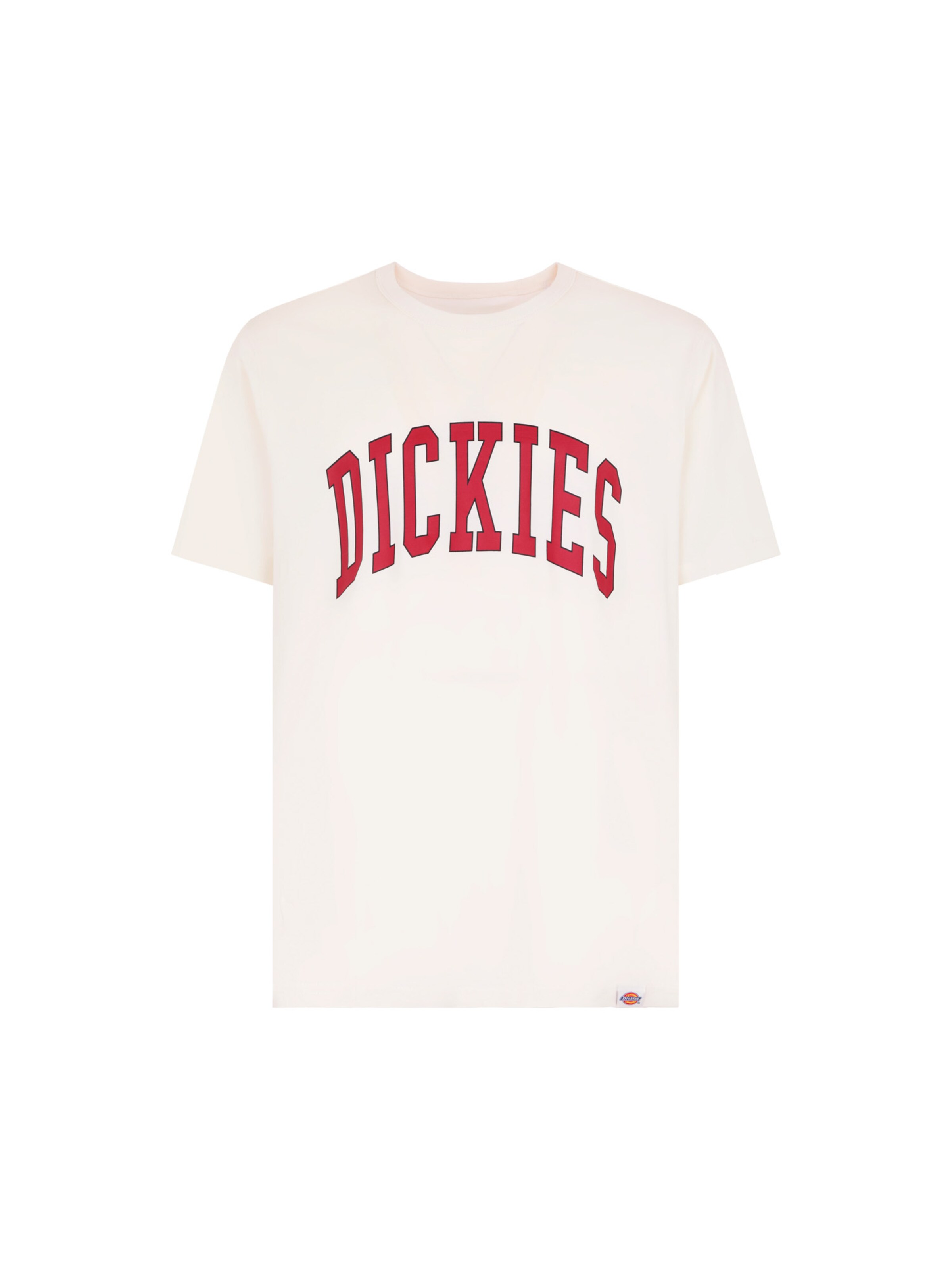 DICKIES Bluser & t-shirts 'Aitkin' i beige: forside