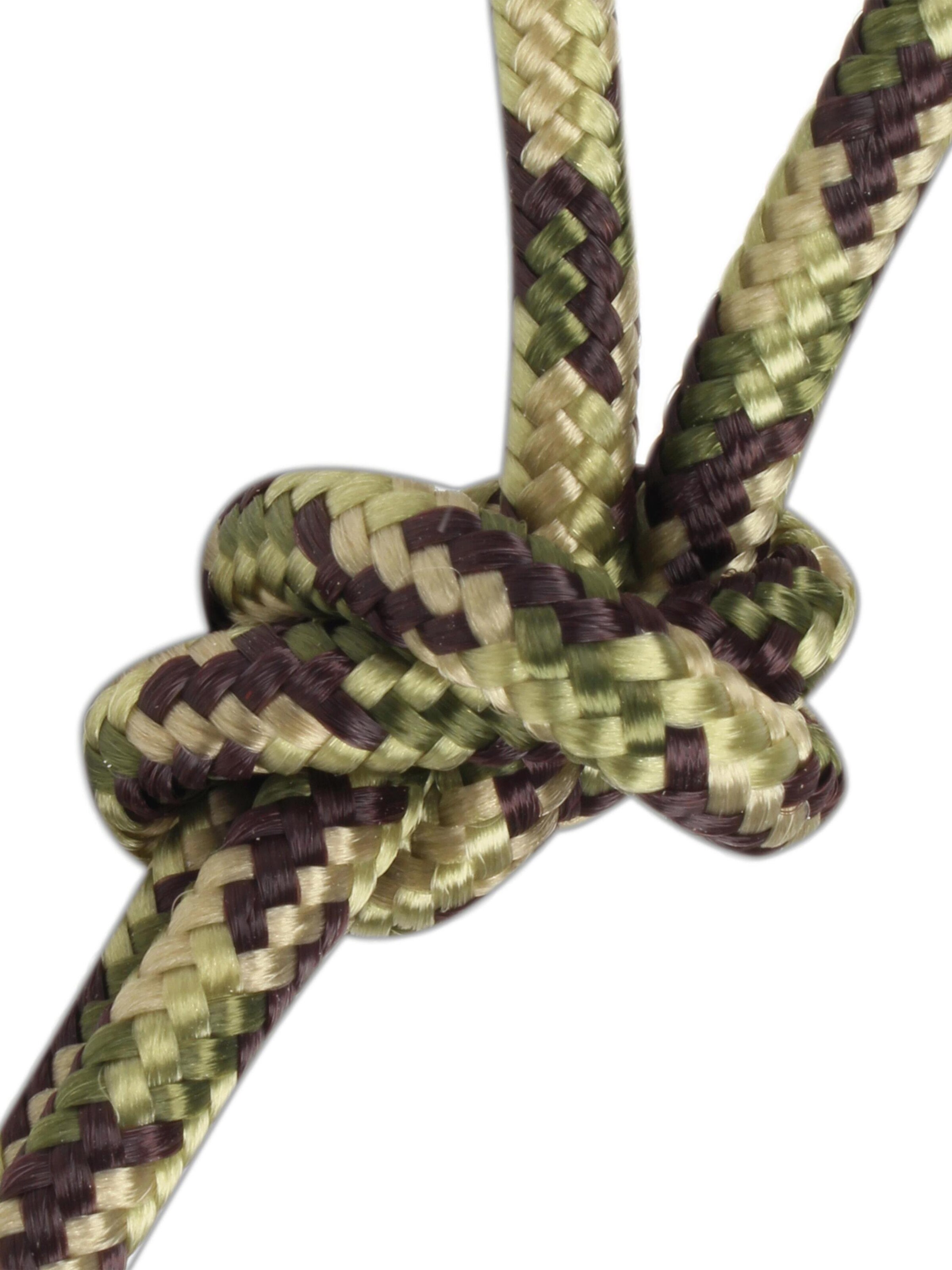 Cordes 'Chetwynd' normani en vert