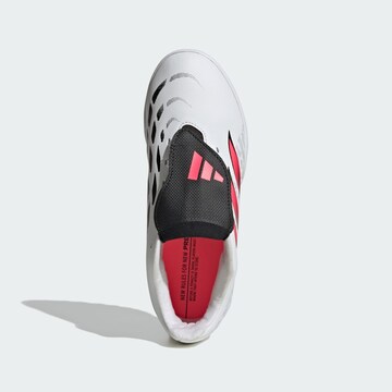 Scarpa sportiva 'Predator Club' di ADIDAS PERFORMANCE in bianco