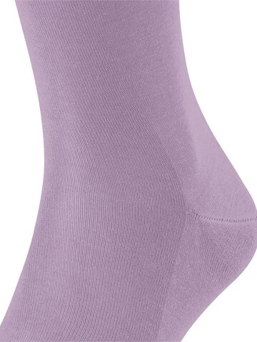 FALKE Knee High Socks 'Tiago' in Purple