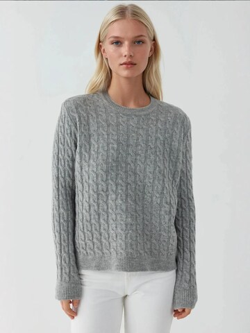 Pullover di Hiccup in grigio: frontale
