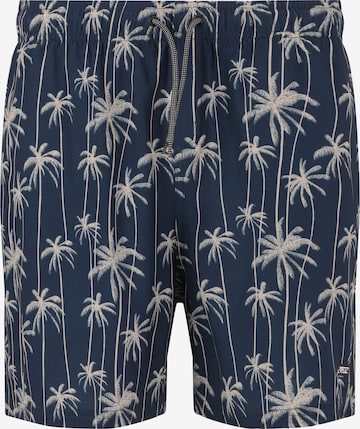 NOU Swimming shorts 'Fileyer' in Blue: front