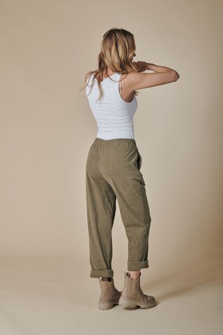 Zhrill Regular Pants in Brown