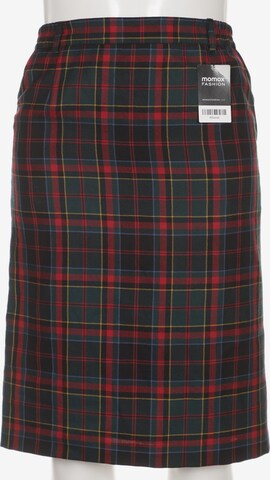 Peter Hahn Skirt in XL in Mixed colors: front
