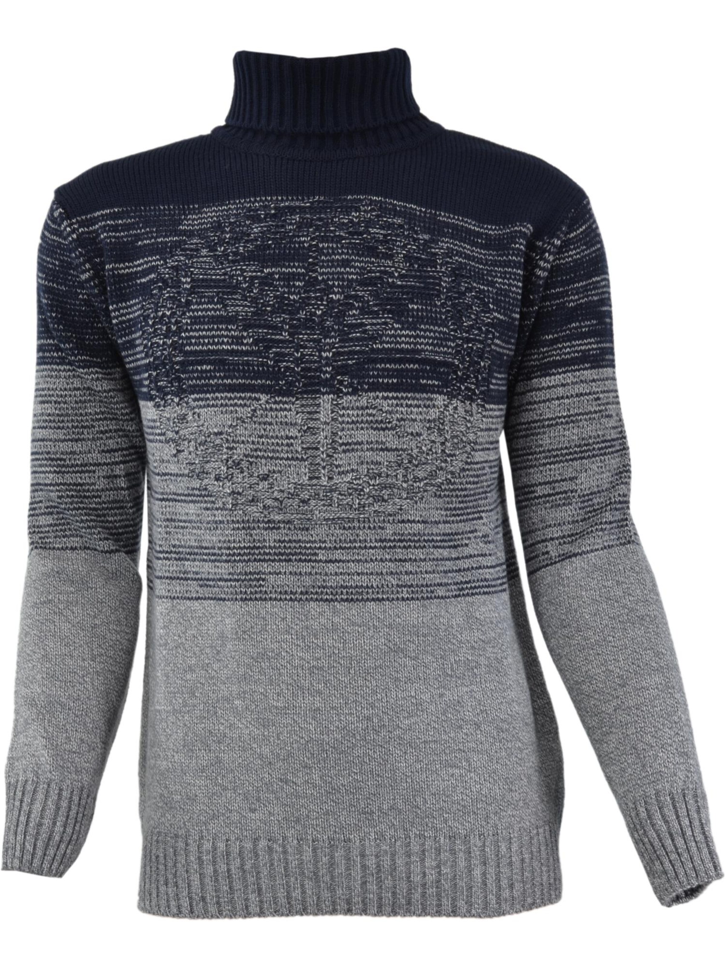 Pull-over 'Carlone' Carlo Colucci en gris : devant