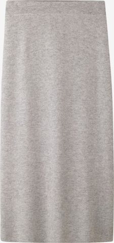 hessnatur Skirt in Grey: front