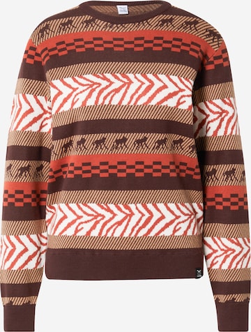 Iriedaily Sweater in Brown: front