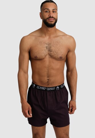 Lousy Livin Boxer shorts in Black: front