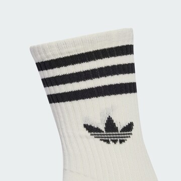 Chaussettes ADIDAS ORIGINALS en blanc