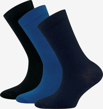EWERS Socks in Blue: front