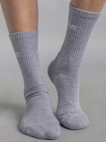 Dirts Socken 'Classic Logo Socks' in Grau: Vorderseite