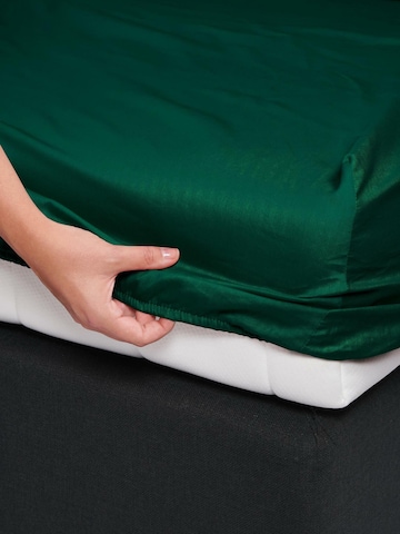 ESSENZA Bed Sheet in Green