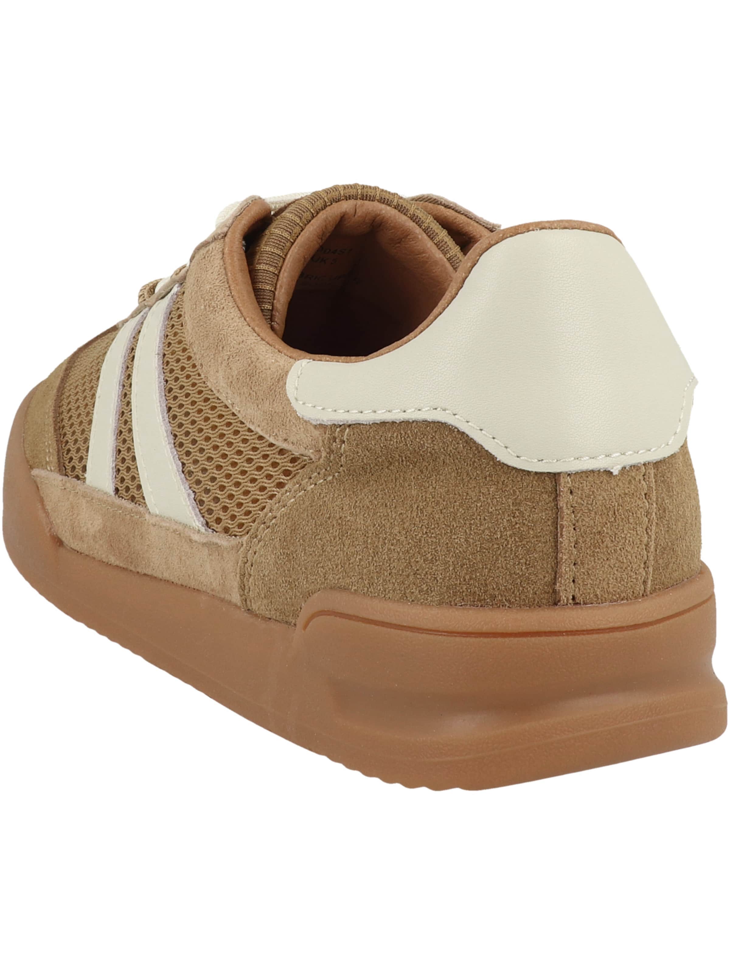 STEVE MADDEN - Sapatilhas baixas ' Verdict ' em castanho