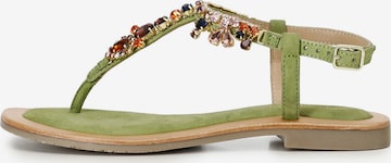 Infradito di CAFè NOIR in verde: frontale