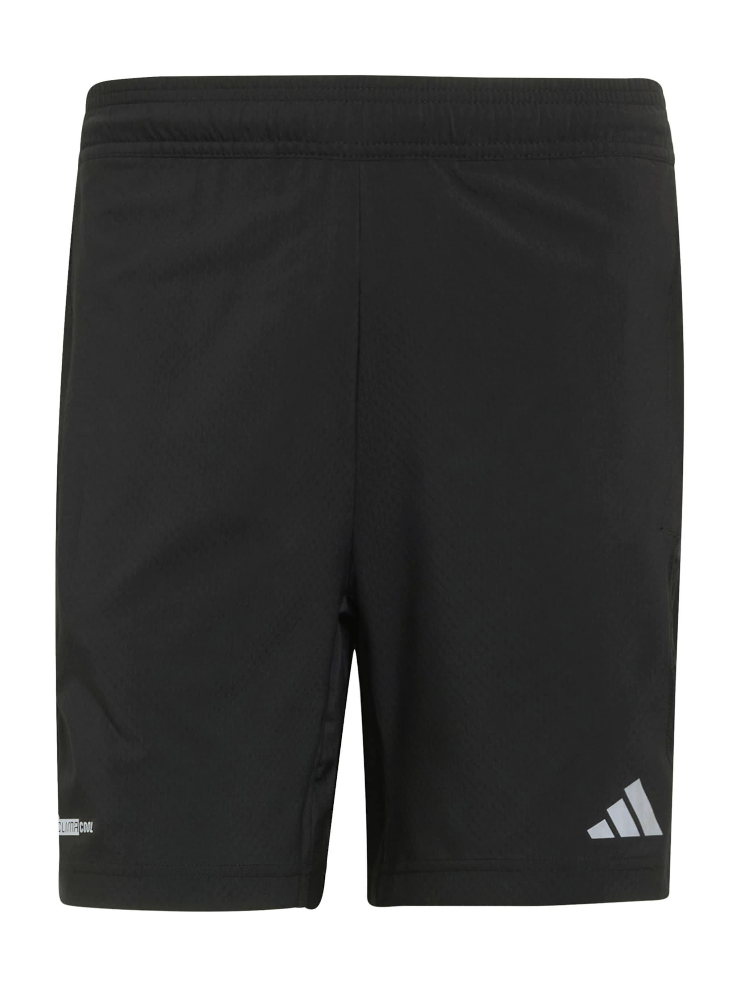ADIDAS PERFORMANCE Regular Sportbroek in Zwart: voorkant