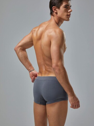 SEOBEAN Boxershorts in Grau