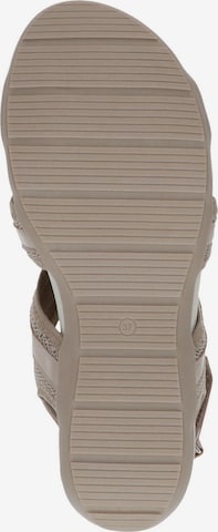 CAPRICE Hiking Sandals in Beige