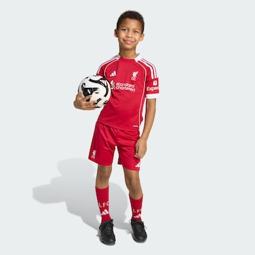 Survêtement 'FC Liverpool 25/26' ADIDAS PERFORMANCE en rouge : devant
