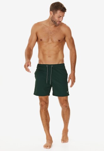 Cruz Regular Boardshorts in Grün