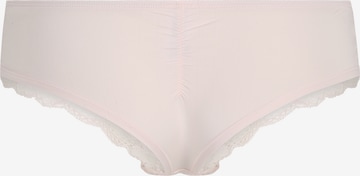 LASCANA Panty in Mixed colors