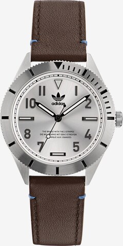ADIDAS ORIGINALS Analoog horloge ' Ao Fashion Edition Three ' in Bruin: voorkant