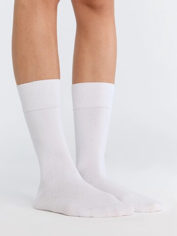 Albero Natur Socks 'Bio-Baumwoll-Socken mit längerem Bündchen - 2er Pack' in White