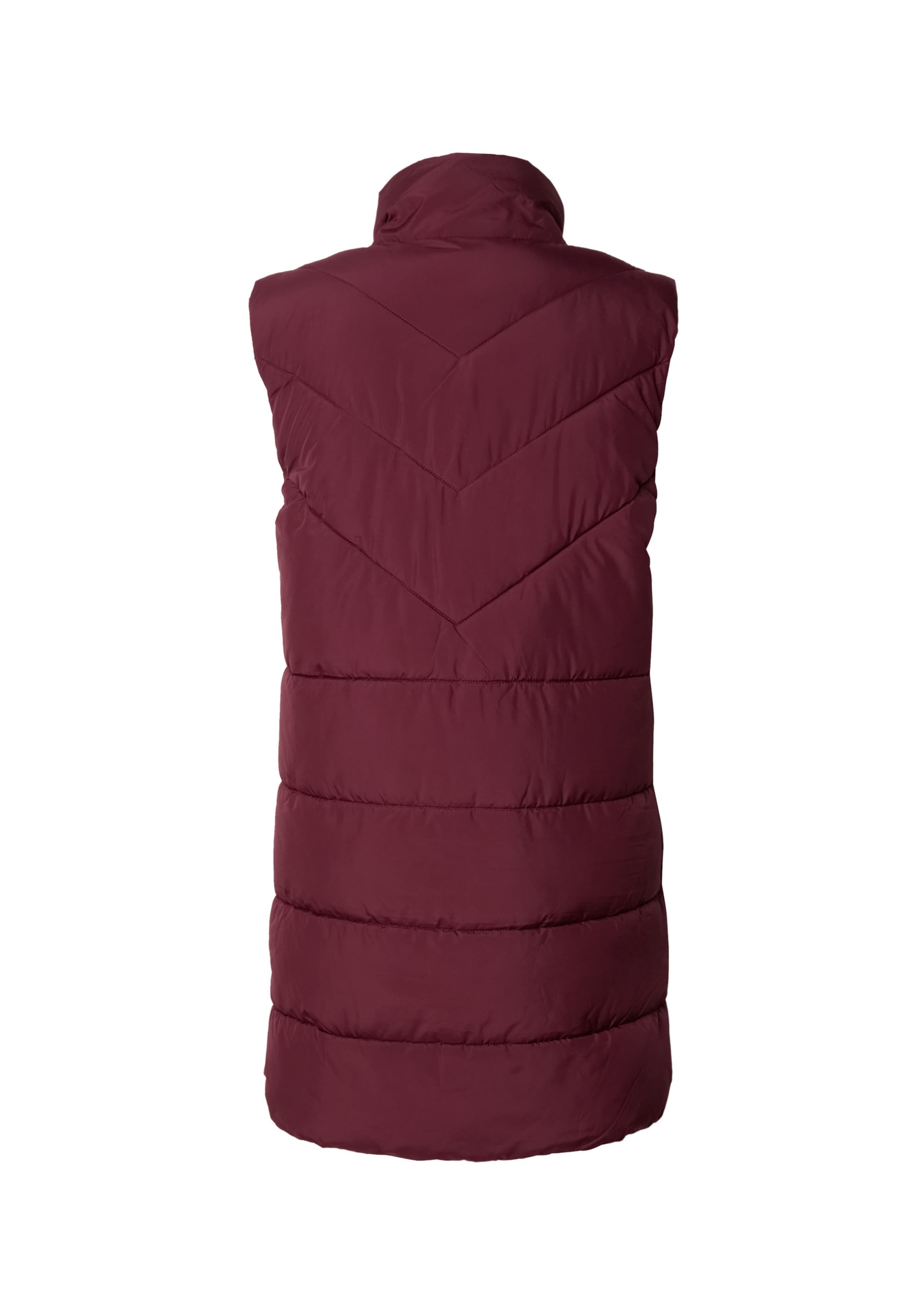 Noisy may Vest 'Dalcon' in Red