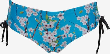 SugarShape Bikini Bottoms 'Monaco' in Blue: front