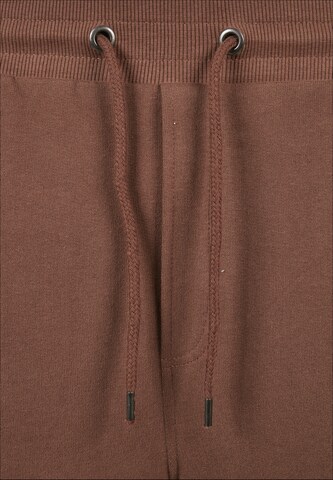 Tapered Pantaloni cu buzunare de la Urban Classics pe maro