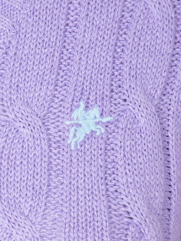purpurinė DENIM CULTURE Megztinis 'Perla'