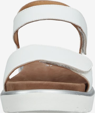 ARA Sandals in White