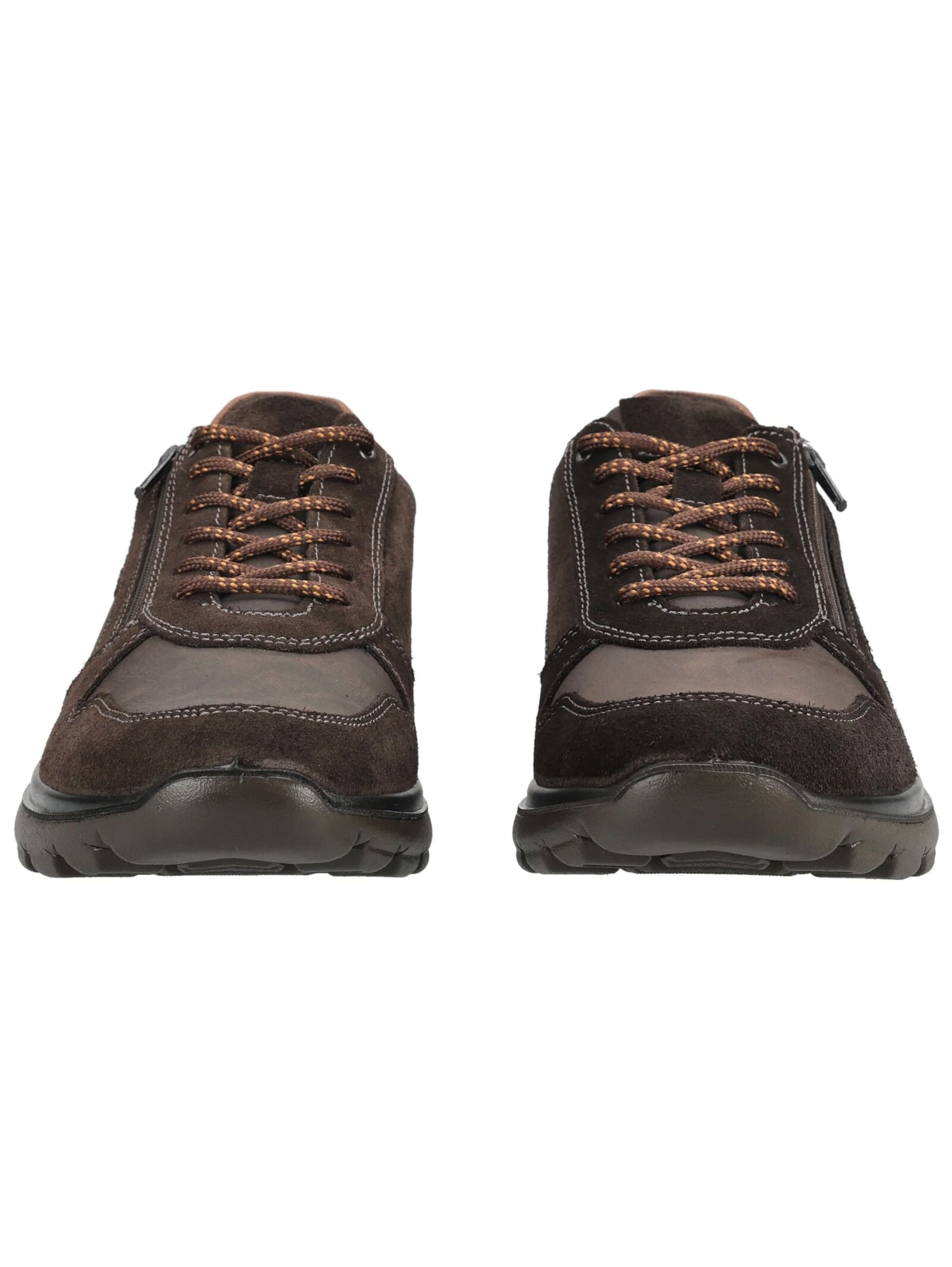 IMAC Platform trainers in Brown