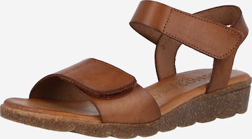 COSMOS COMFORT Sandaalit värissä ruskea: edessä