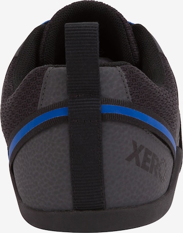 Xero Shoes Sneaker 'Prio' in Grau: predná strana