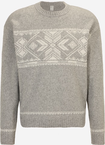 Gilly Hicks Sweater in Grey: front