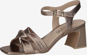 CAPRICE Strap Sandals in Brown: front