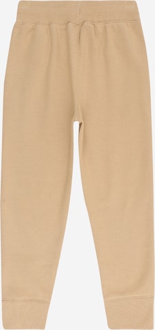 GAP Tapered Trousers in Brown