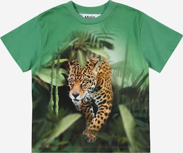 Maglietta 'Riley' di Molo in verde: frontale