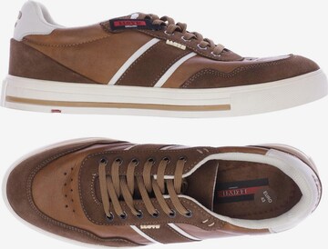 LLOYD Sneakers & Trainers in 43 in Brown: front