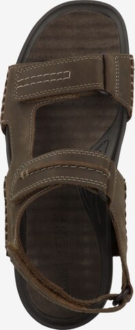 CLARKS Hiking Sandals 'Nature 5' in Brown