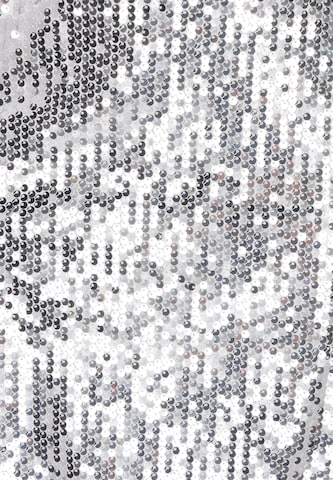 myMo at night Skirt in Silver