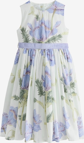 smėlio Next Suknelė 'Kew': priekis