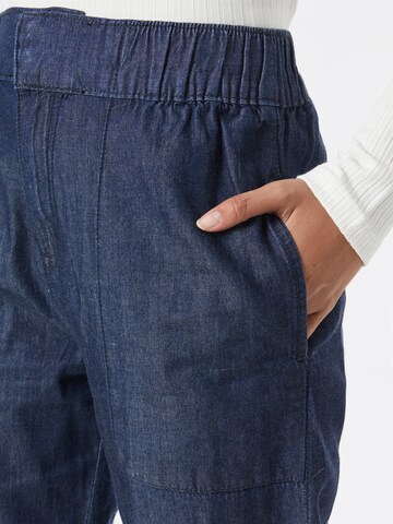 Wallis Curve Regular Pants in Blue