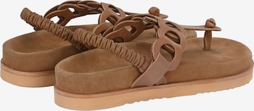 Crickit T-Bar Sandals in Brown