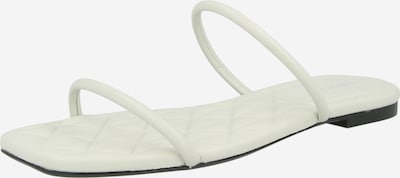 Šlepetės iš Calvin Klein, spalva – natūrali balta, Prekių apžvalga