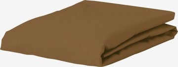 ESSENZA Bed Sheet in Brown: front
