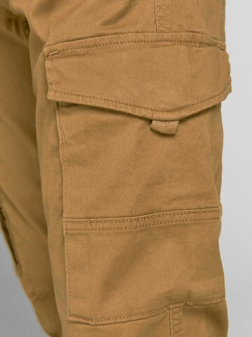 Tapered Pantaloni cargo 'Paul Flake' di JACK & JONES in marrone