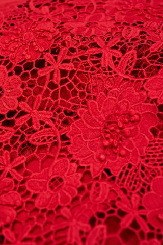 Salsa Jeans Kleider in Rot